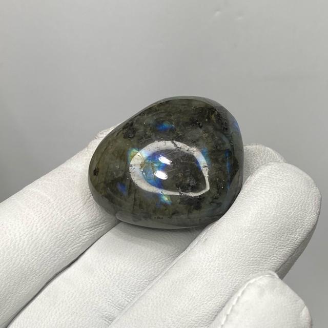 suNo.352tVR΃uhCg@n[g[X@蓙  CeA/Ct 