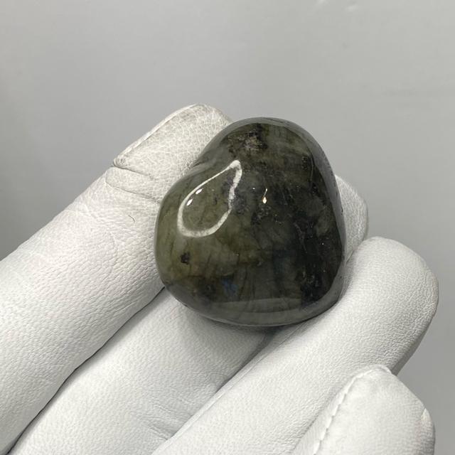 suNo.352tVR΃uhCg@n[g[X@蓙  CeA/Ct 