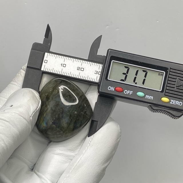 suNo.352tVR΃uhCg@n[g[X@蓙  CeA/Ct 