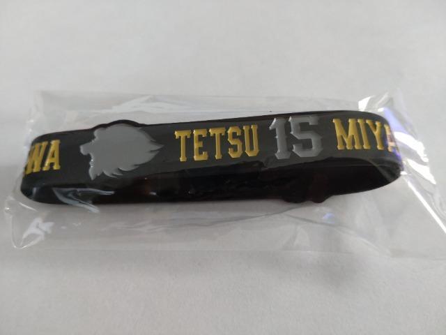 ʐCIY2023 V[NbgVRoh 15 {N  W[/X|[c 