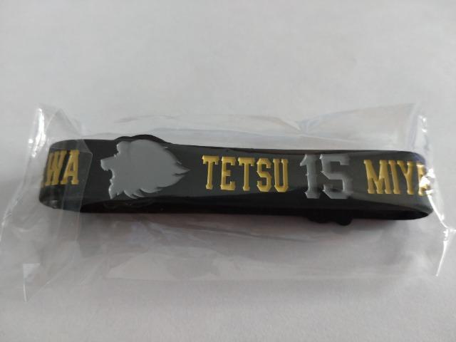 ʐCIY2023 V[NbgVRoh 15 {N  W[/X|[c 