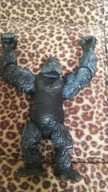 ���L���O�R���O�E�e�B���m�T�E���X�� �� �z�r�[�� 