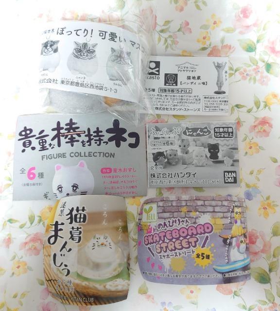 y`OzK`K`wLx6_ZbgA  zr[ 