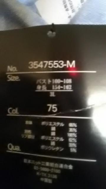 2*新品*大きいサイズ*重ね着風*半袖パーカー < 女性ファッション  2*新品*大きいサイズ*重ね着風*半袖パーカー < 女性ファッションの