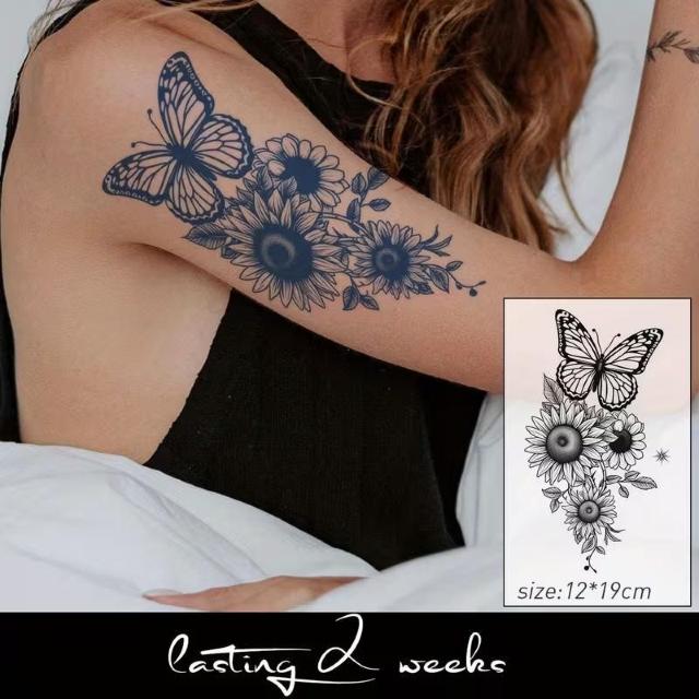 ����������890�~��10������ �n�[�u�W���[�X �Z�~�p�[�}�l���g �}�W�b�N�^�g�D�[�X�e�b�J�[ �A�[�g�^�g�D�[�X�e�b�J�[ �� �j���t�@�b�V������ 