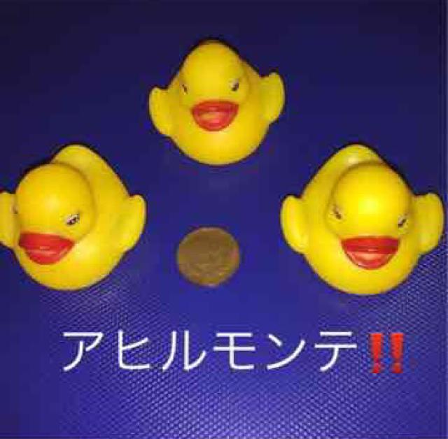 アヒルモンテ!3匹のアヒルのコミカルマジック!手品 < おもちゃ  アヒルモンテ!3匹のアヒルのコミカルマジック!手品  < おもちゃの