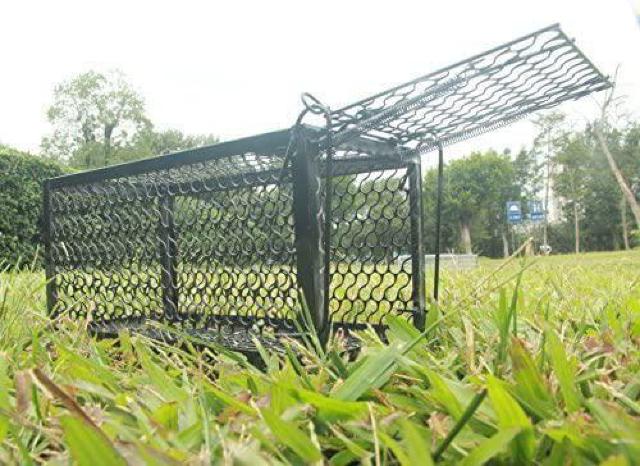 ねずみ捕獲カゴ 角型 < ペット/手芸/園芸  ねずみ捕獲カゴ 角型 < ペット/手芸/園芸の