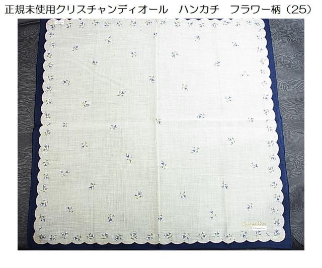 500�~�X�^�����K���g�p�N���X�`�����f�B�I�[���@�t�����[���@�n���J�`�@�i25�j 