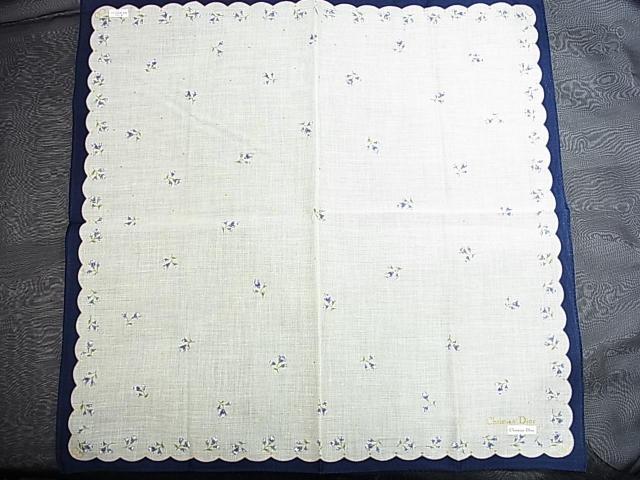 500�~�X�^�����K���g�p�N���X�`�����f�B�I�[���@�t�����[���@�n���J�`�@�i25�j