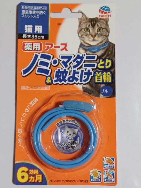 A[XLpm~E}_jƂ&悯 u[ 