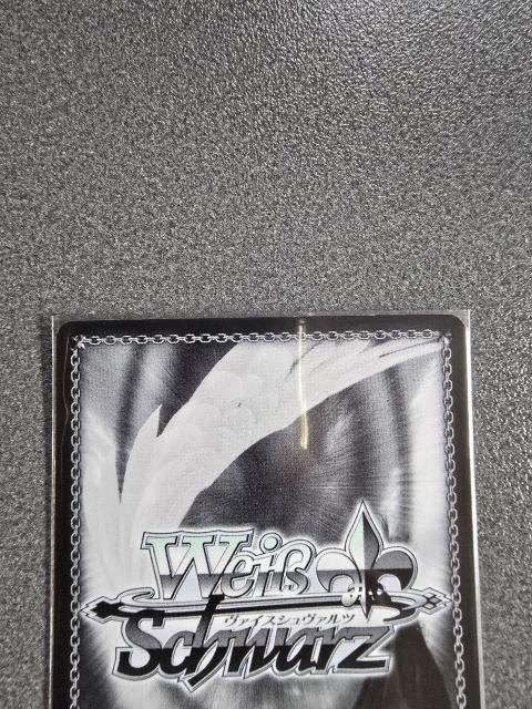 ���@�C�X�V�����@���c �_�N�l�X SP �� �g���[�f�B���O�J�[�h�� 