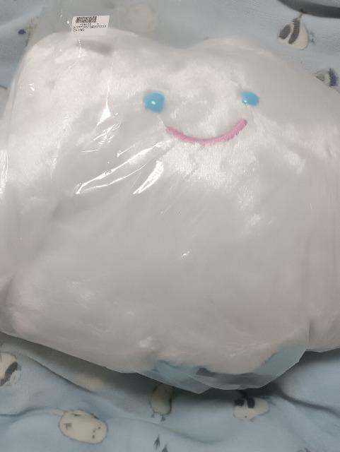 ����̃t���t���T���A�E���g���r�b�O�ʂ������  �� ��������� 