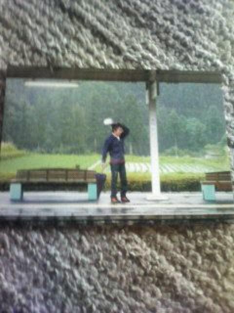 [񔄕i] 쐴uY|XgJ[h   ^gObY 