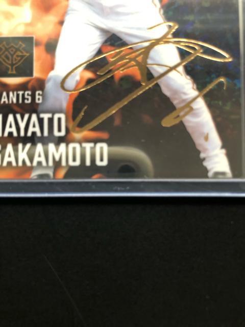 QOQTJr[싅 2e/r-QTEǔlE{ElmTCpŃJ|hn  g[fBOJ[h 