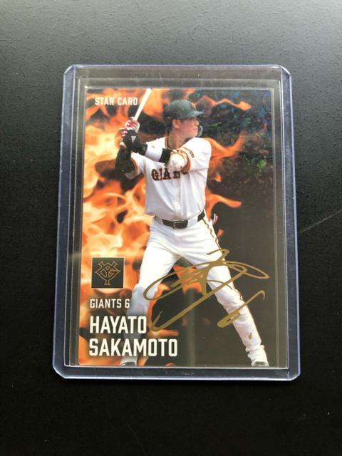 QOQTJr[싅 2e/r-QTEǔlE{ElmTCpŃJ|hn  g[fBOJ[h 