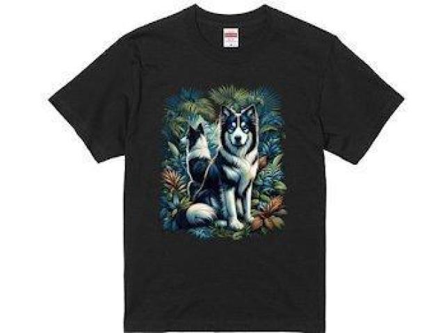 nCNIeB[ TVc nXL[E{[_[ER[@WO@ O   t@bV 