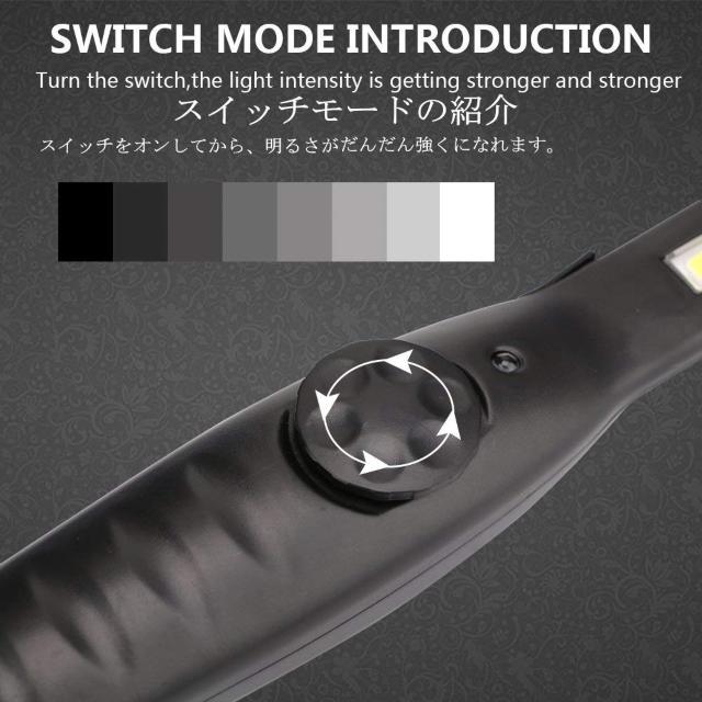 yledƓE[NCgz nfBCg }Olbgt  W[/X|[c 