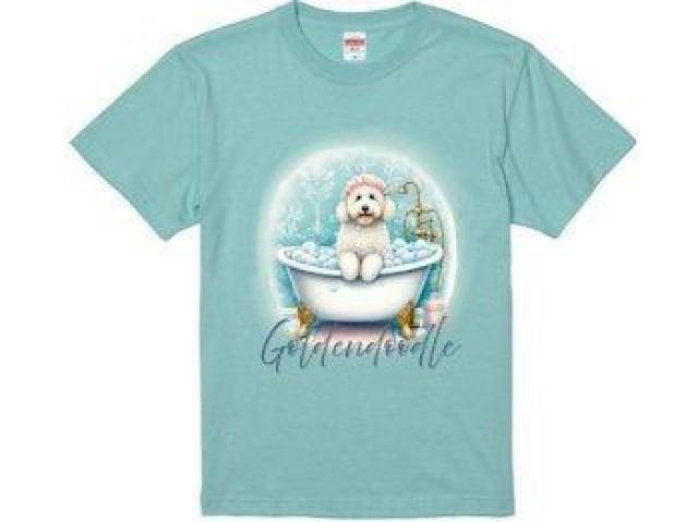 nCNIeB[ TVc S[fhD[h@C@ O   t@bV 