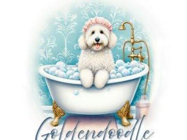 nCNIeB[ TVc S[fhD[h@C@ O  t@bV 