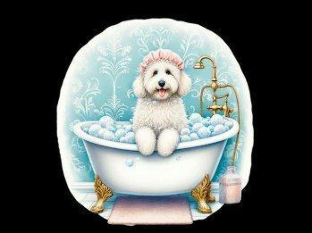 nCNIeB[ TVc S[fhD[h@C@ O  t@bV 