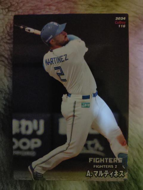 プロ野球チップスカード < トレーディングカード プロ野球チップスカード < トレーディングカードの