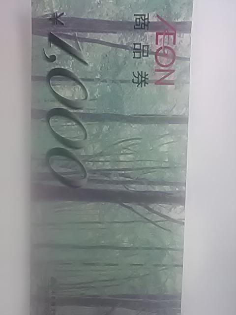 �C�I��1000�~  �� �`�P�b�g/������ 