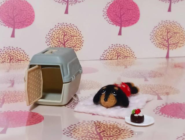 小さな々ミニチュアダックス キャリー毛手作りケーキ付き < ペット/手芸/園芸 小さな々ミニチュアダックス キャリー毛手作りケーキ付き < ペット/手芸/園芸の