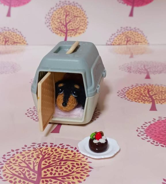 小さな々ミニチュアダックス キャリー毛手作りケーキ付き < ペット/手芸/園芸 小さな々ミニチュアダックス キャリー毛手作りケーキ付き < ペット/手芸/園芸の