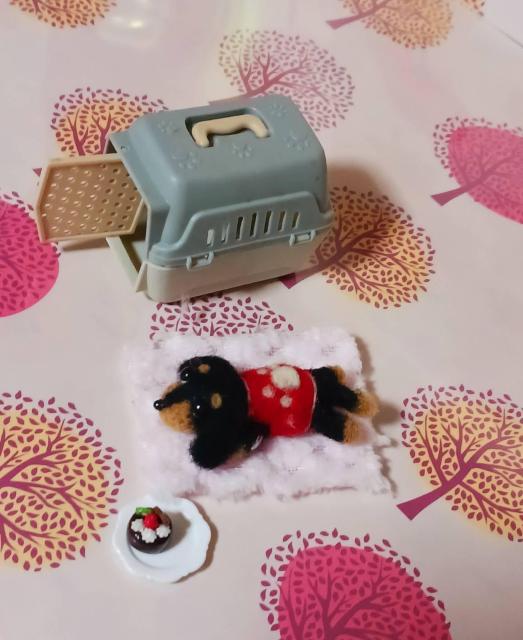 小さな々ミニチュアダックス キャリー毛手作りケーキ付き < ペット/手芸/園芸 小さな々ミニチュアダックス キャリー毛手作りケーキ付き < ペット/手芸/園芸の