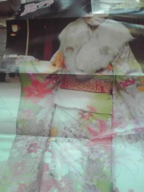 堀江由衣 < ホビー  堀江由衣  < ホビーの