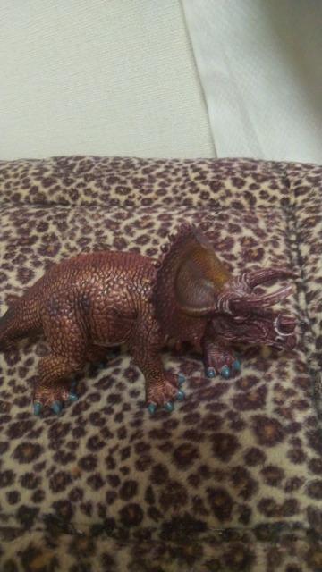 �������g���P���g�v�X���d���t�B�M���A �� �z�r�[�� 