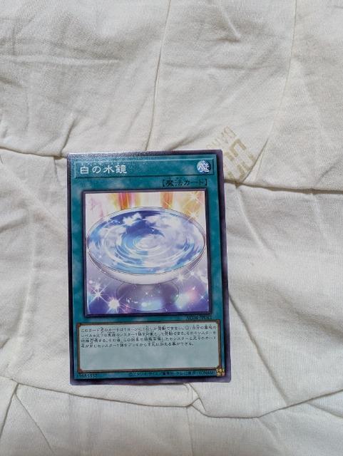 yVYJ[hz̐CG 1966 ANIMATION@CHRONICLE 2024   g[fBOJ[h 