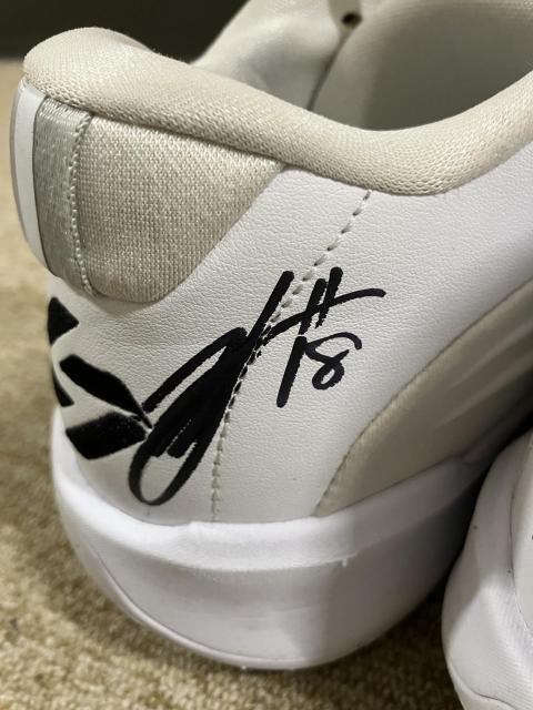 #18  Igp MTC oXPbg{[V[Yij