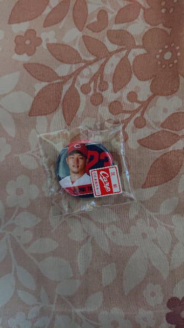 カープバッチ 薮田 < レジャー/スポーツ  カープバッチ 薮田  < レジャー/スポーツの