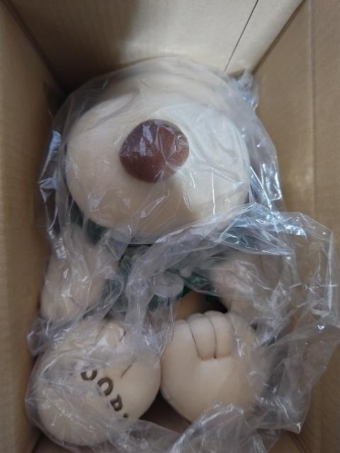 �X�k�[�s�[ �ʂ������ ���� �p�[�J�[ �����Q�����Ė�470�~�� �Ж�180�~�� ���g�p �� ��������� 