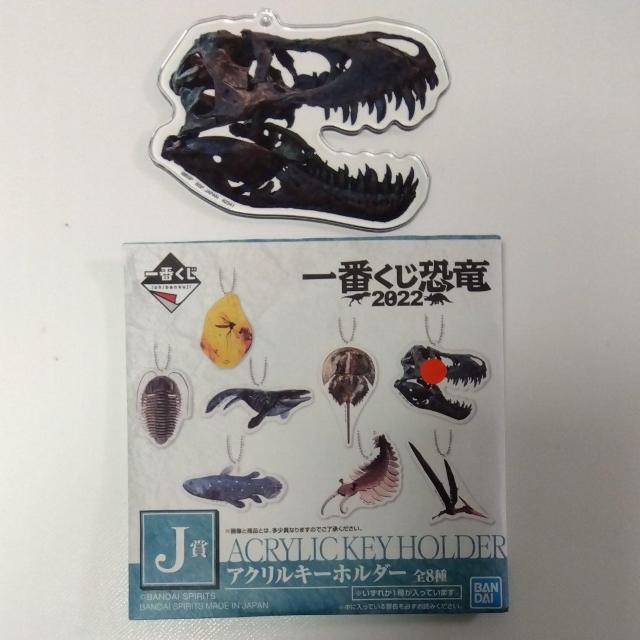 Ԃ@@2022@J܁@ANL[z_[@G   Aj/R~bN/LN^[ 