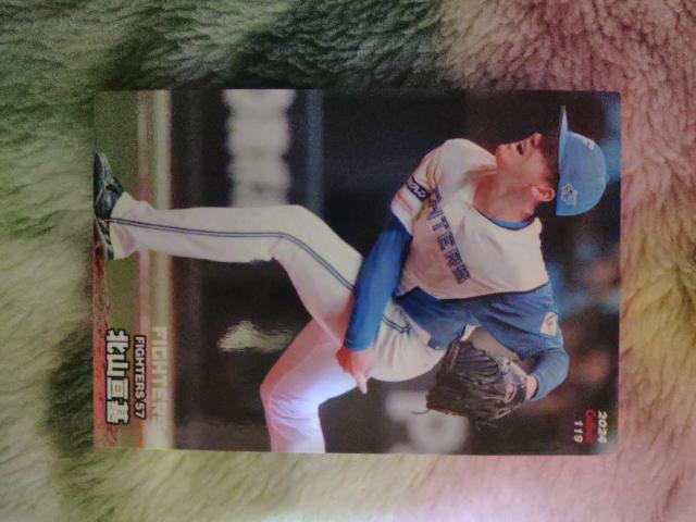 プロ野球チップスカード < トレーディングカード プロ野球チップスカード < トレーディングカードの