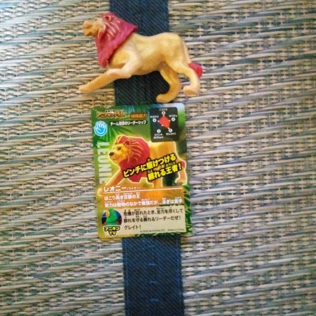 �}�N�h�i���h�@�n�b�s�[�Z�b�g�@�A�j�A�L���O�_���@���I�j�[(���C�I��)  �� ��������� 