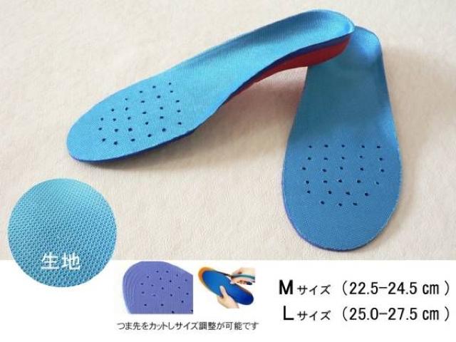 RDC\[E~rWlXEX|[cɍœKI 