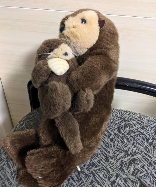 昭和レトロ/たけのこ/ラッコ親子/ラッコ/ぬいぐるみ/ジョイフルメイツ < おもちゃ  昭和レトロ/たけのこ/ラッコ親子/ラッコ/ぬいぐるみ/ジョイフルメイツ < おもちゃの