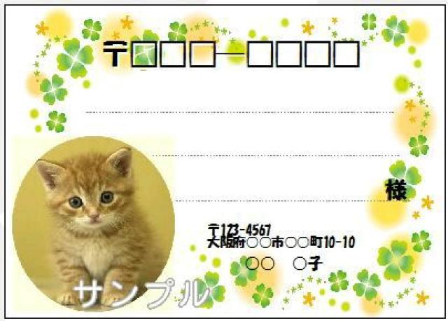 ���R�Q�P(�����V�[��)�W�����L�����N���[�o�[�g  �� �C���e���A/���C�t�� 