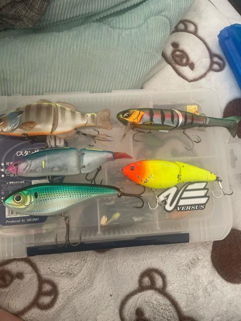 ビックベイトルアーセット < レジャー/スポーツ ビックベイトルアーセット < レジャー/スポーツの