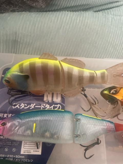 ビックベイトルアーセット < レジャー/スポーツ ビックベイトルアーセット < レジャー/スポーツの