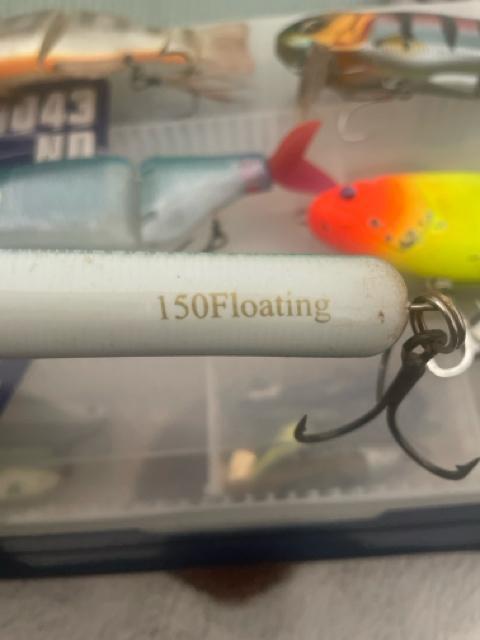 ビックベイトルアーセット < レジャー/スポーツ ビックベイトルアーセット < レジャー/スポーツの