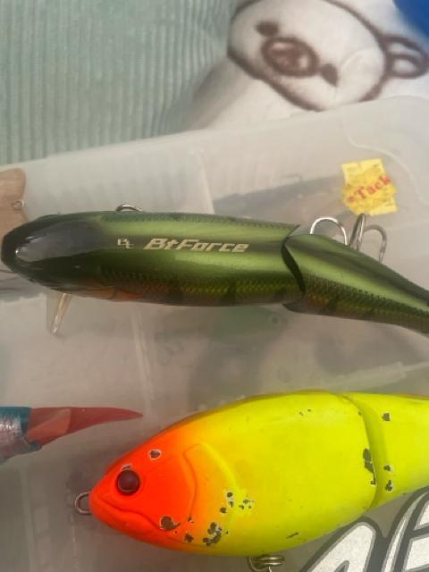 ビックベイトルアーセット < レジャー/スポーツ ビックベイトルアーセット < レジャー/スポーツの