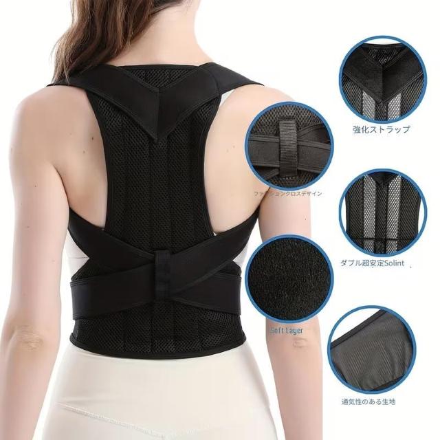 ��������990�~�������y�� �}�O�l�b�g���p���T�|�[�g - ��l����җp �����\�Ȕw���T�|�[�g�u���[�X PET�f�ށA�����ݎp�����P �� �w���X/�r���[�e�B�[�� 