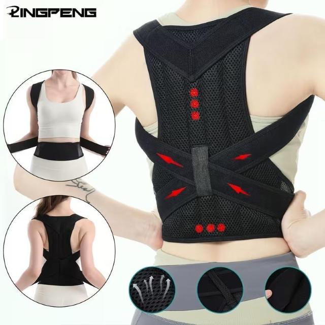 ��������990�~�������y�� �}�O�l�b�g���p���T�|�[�g - ��l����җp �����\�Ȕw���T�|�[�g�u���[�X PET�f�ށA�����ݎp�����P �� �w���X/�r���[�e�B�[�� 