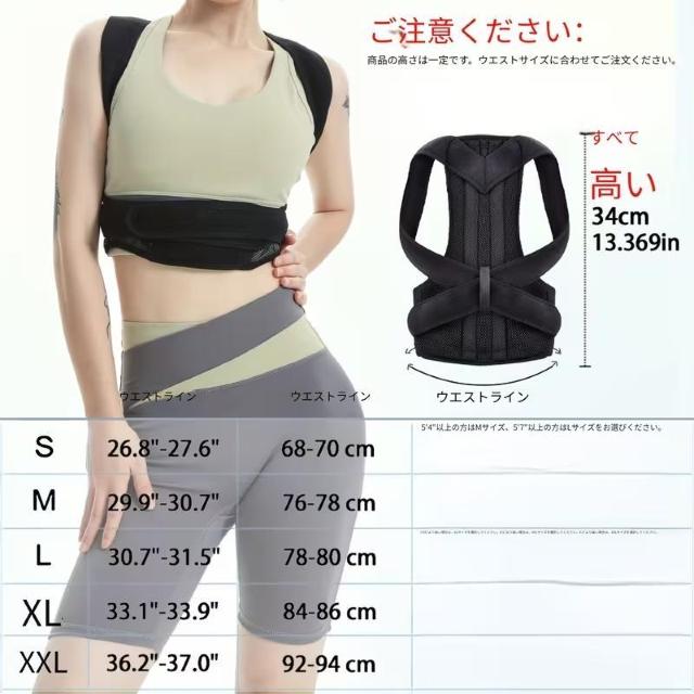 ��������990�~�������y�� �}�O�l�b�g���p���T�|�[�g - ��l����җp �����\�Ȕw���T�|�[�g�u���[�X PET�f�ށA�����ݎp�����P �� �w���X/�r���[�e�B�[�� 