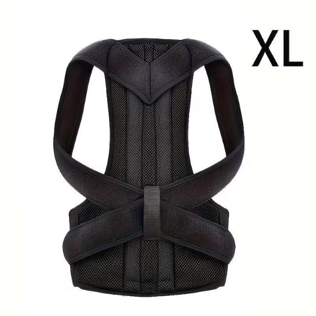 ��������990�~�������y�� �}�O�l�b�g���p���T�|�[�g - ��l����җp �����\�Ȕw���T�|�[�g�u���[�X PET�f�ށA�����ݎp�����P �� �w���X/�r���[�e�B�[�� 