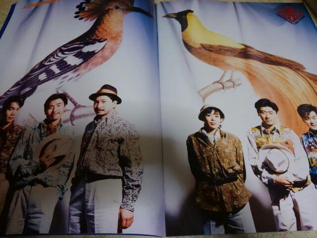 SAS  真夏の夜の夢1988大復活祭 パンフレット < タレントグッズ  SAS  真夏の夜の夢1988大復活祭 パンフレット < タレントグッズの